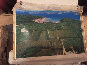 Susak town with vineyards covering a third of this sandy island